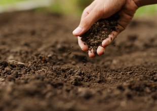 Using Sound Waves to Map Soil Health