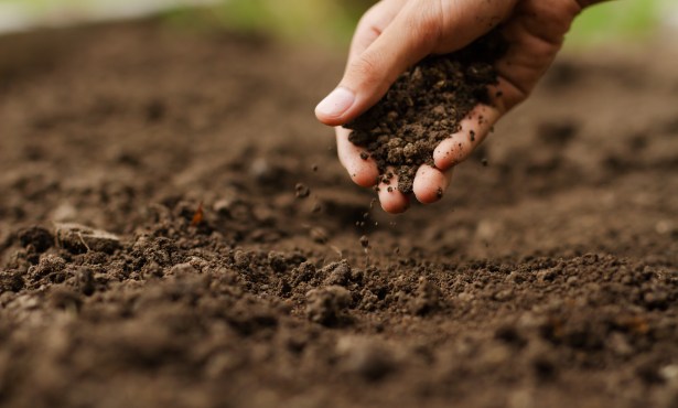 Using Sound Waves to Map Soil Health