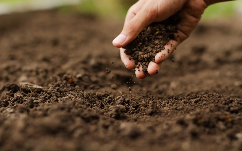 Using Sound Waves to Map Soil Health