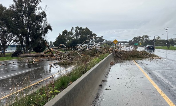 President’s Day Storm Brings Heavy Rain, Downed Trees to Santa Barbara County