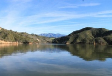 Se liberaron 5.000 libras de trucha en Cachuma Lake