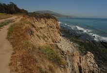 ‘Grass for Grass’: Santa Barbara County Board of Supervisors Approve Funding for Carp Bluffs Restoration 