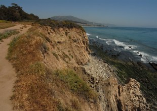 ‘Grass for Grass’: Santa Barbara County Board of Supervisors Approve Funding for Carp Bluffs Restoration 