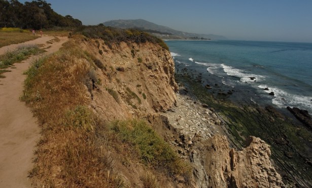 ‘Grass for Grass’: Santa Barbara County Board of Supervisors Approve Funding for Carp Bluffs Restoration 