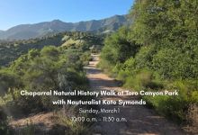 Chaparral Natural History Walk at Toro Canyon Park