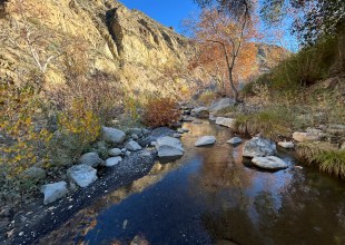 A Sojourn Along the Sisquoc River