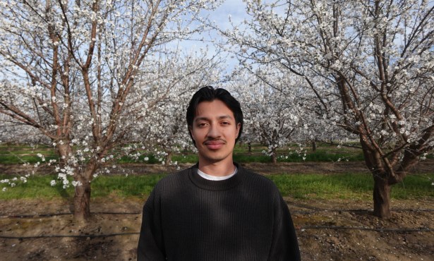 Nestor’s Newest Experiences in News