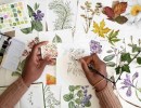 Botanical Printing Workshop with Latifat Apatira