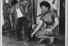 Year of the Fire Horse Festival