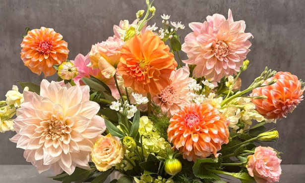 Alpha Floral Celebrates 90 Years of Blooms
