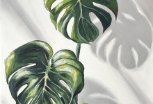Painting at the Mission : Monstera