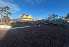 Storms Bring High Winds, Downed Trees, Bursts of Heavy Rain, and Tornado Warning to Santa Barbara County