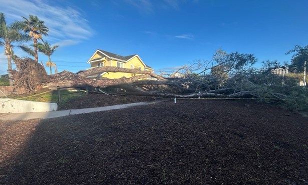 Storms Bring High Winds, Downed Trees, Bursts of Heavy Rain, and Tornado Warning to Santa Barbara County