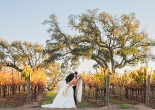 2026 Wedding Resource Guide