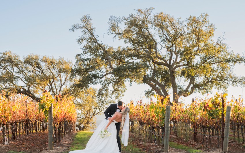 2026 Wedding Resource Guide