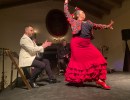 Flamenco Íntimo Explodes with Passion!