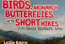 Chaucer’s Storytime – Birds, Monarchs, and Hikes