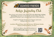 Nature Journaling Club