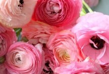 Brighten Your Home with Flowers and Greenery