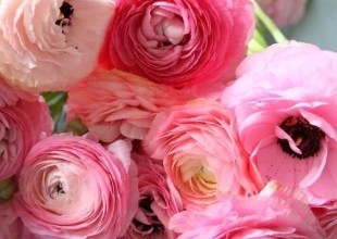 Brighten Your Home with Flowers and Greenery