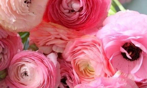 Brighten Your Home with Flowers and Greenery