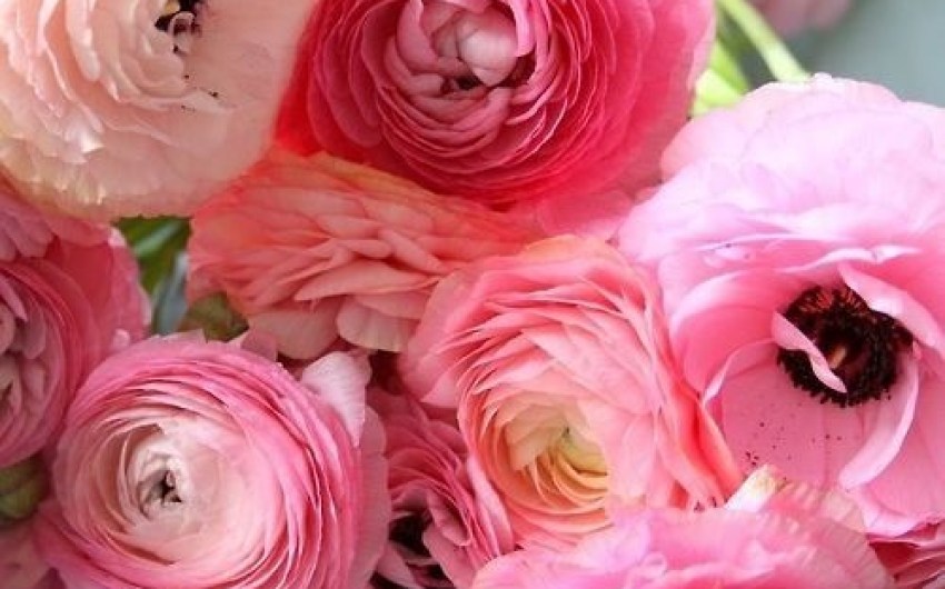 Brighten Your Home with Flowers and Greenery