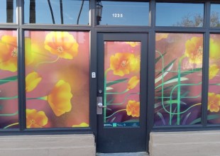 Activate, Not Placate: The Solution to Santa Barbara’s State Street Blues