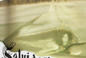 Salvidoria, Orangepit!, & Magnetize at SOhO