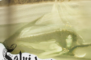 Salvidoria, Orangepit!, & Magnetize at SOhO