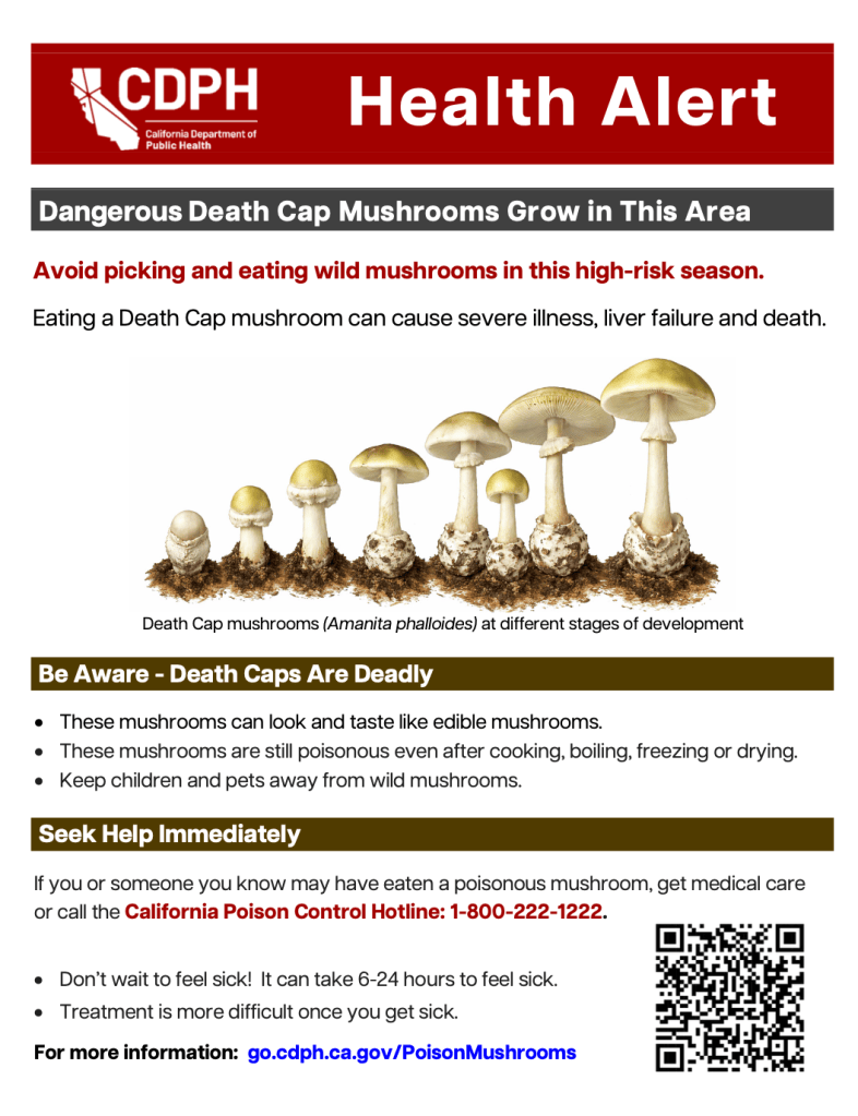 County Health Issues Update on State Advisory Warning Against ...