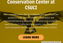 Valentine’s Day at the Zoo