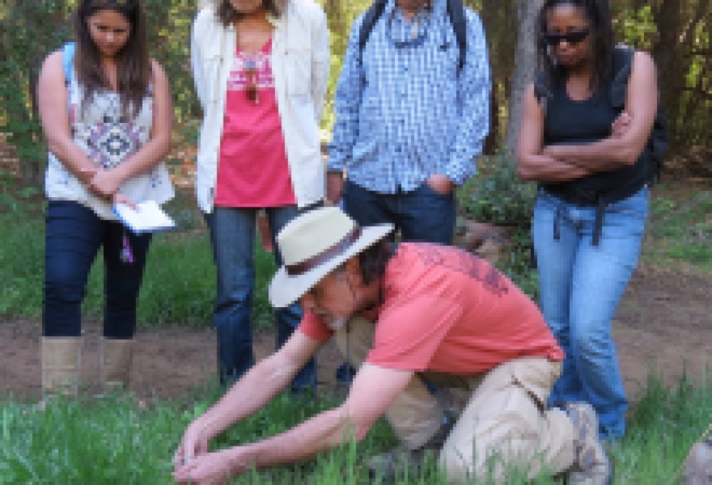 Author and Herbalist Lanny Kaufer Celebrates 50 Years of “Herb Walks” in Santa Barbara and Ojai