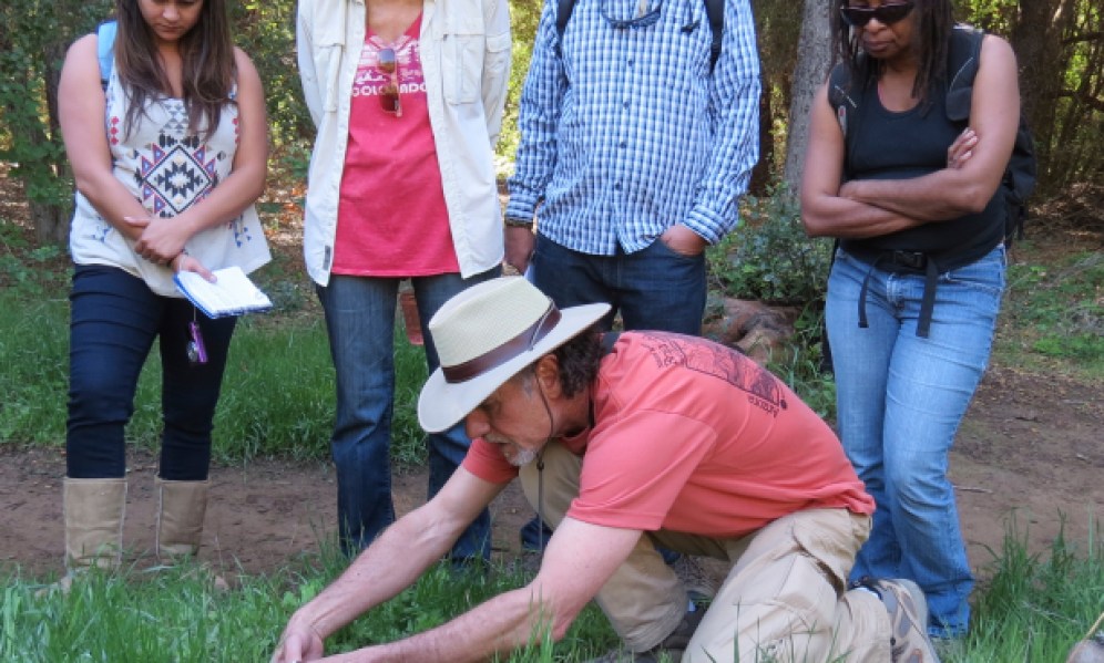 Author and Herbalist Lanny Kaufer Celebrates 50 Years of “Herb Walks” in Santa Barbara and Ojai