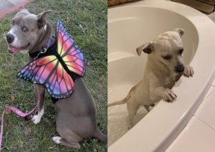 Sunshine and  Shohei