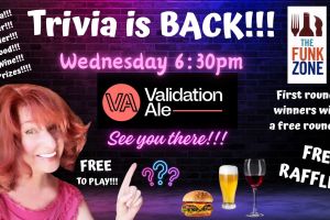 Pub Quiz with Maddy at Validation Ale!!!