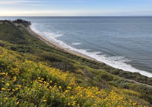 Walking a Complicated History: Santa Barbara County Trails Council to Lead Living Heritage Hike Along the Coast