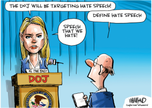 On ICE and Protecting the Public