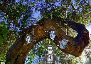 On Exile, Anger, and Home