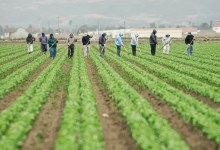 Saying the Quiet Part Out Loud