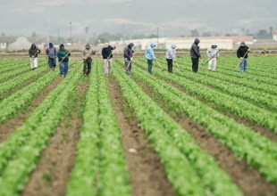 Saying the Quiet Part Out Loud