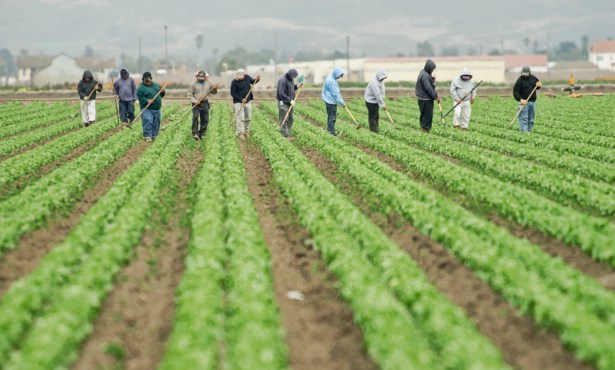 Saying the Quiet Part Out Loud