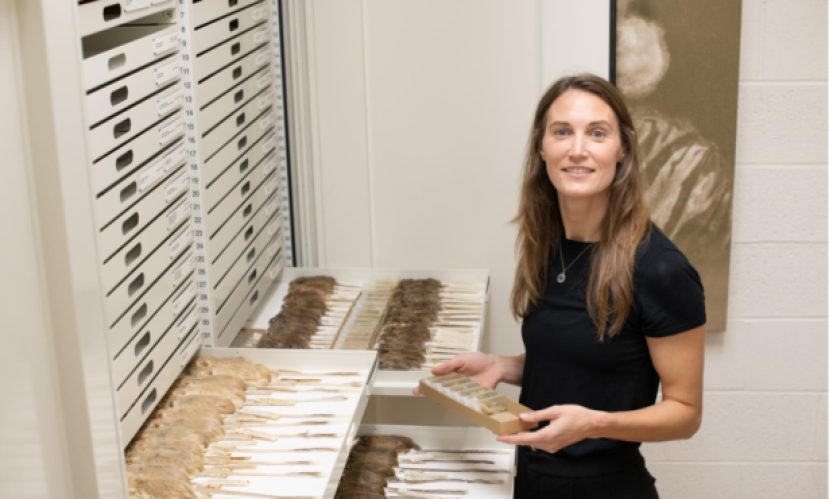 New Mammalogist at S.B. Museum of Natural History 