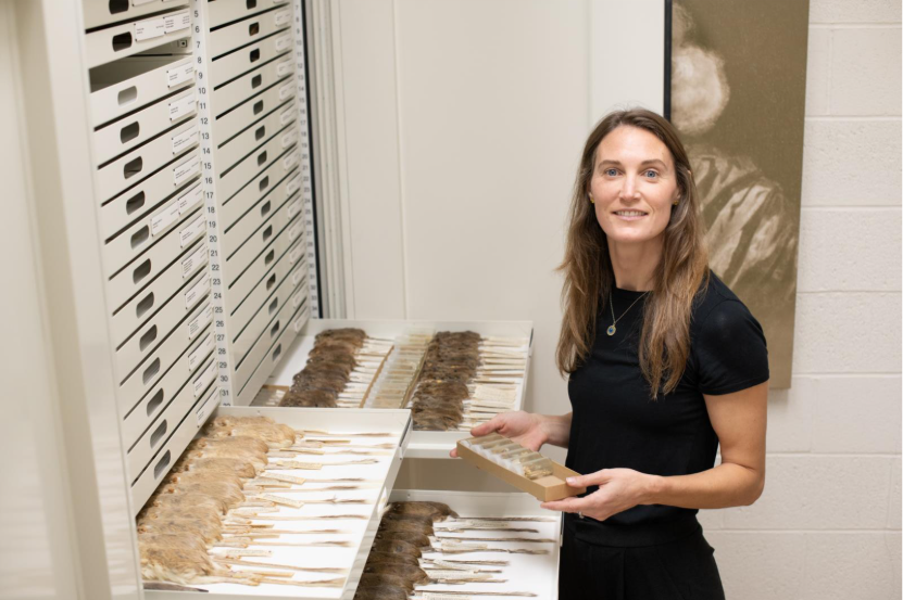 New Mammalogist&nbsp;at&nbsp;S.B. Museum of Natural History&nbsp;