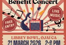 Live It Up Free Benefit Concert at Libbey Bowl