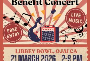 Live It Up Free Benefit Concert at Libbey Bowl