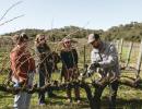 Hands-On Vineyard Pruning Experience