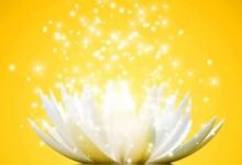 Happy Lotus Lunchtime Meditation Class