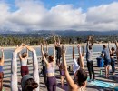 Yoga on the Wharf