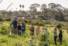 Become a CEC Climate Steward