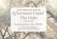 Afternoon Under the Oaks